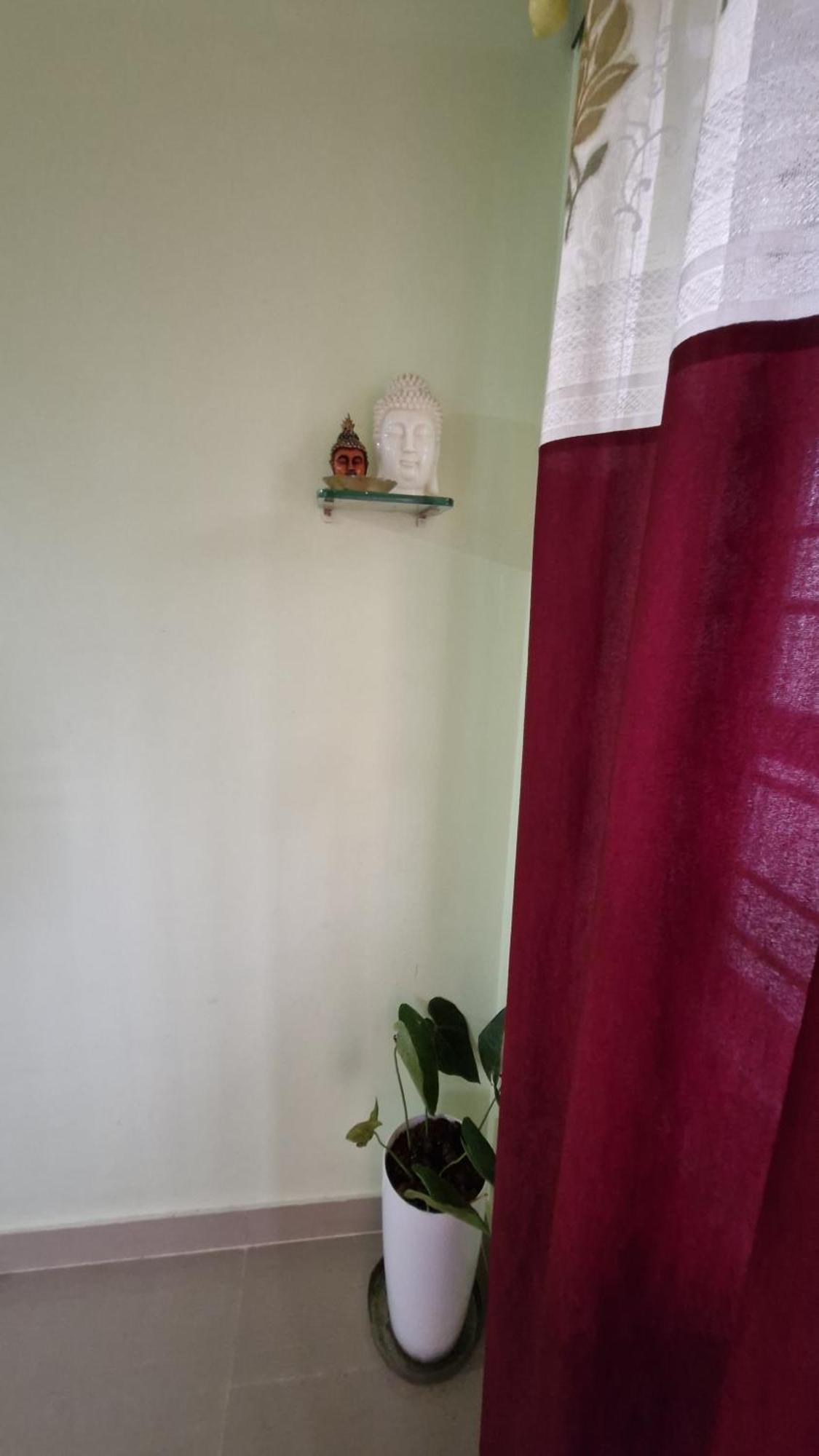 Malgudi Mane Homestay Chikmagalūr Eksteriør billede